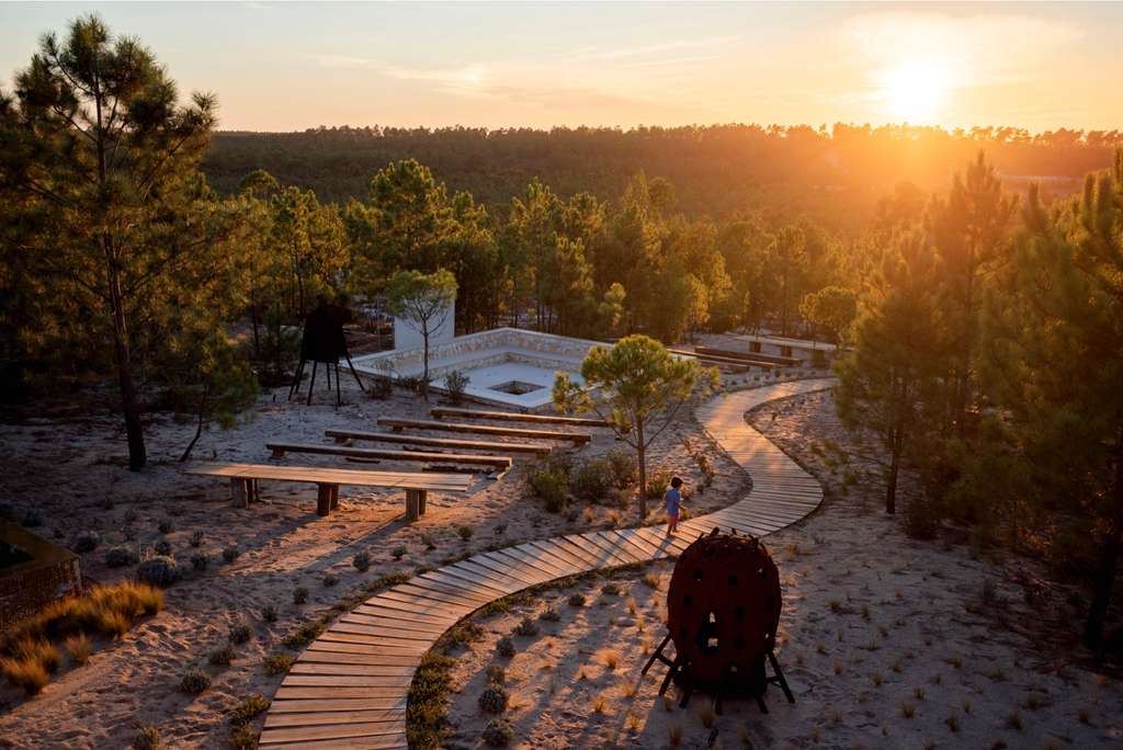 Winding wooden walkway through dunes and pines at sunset