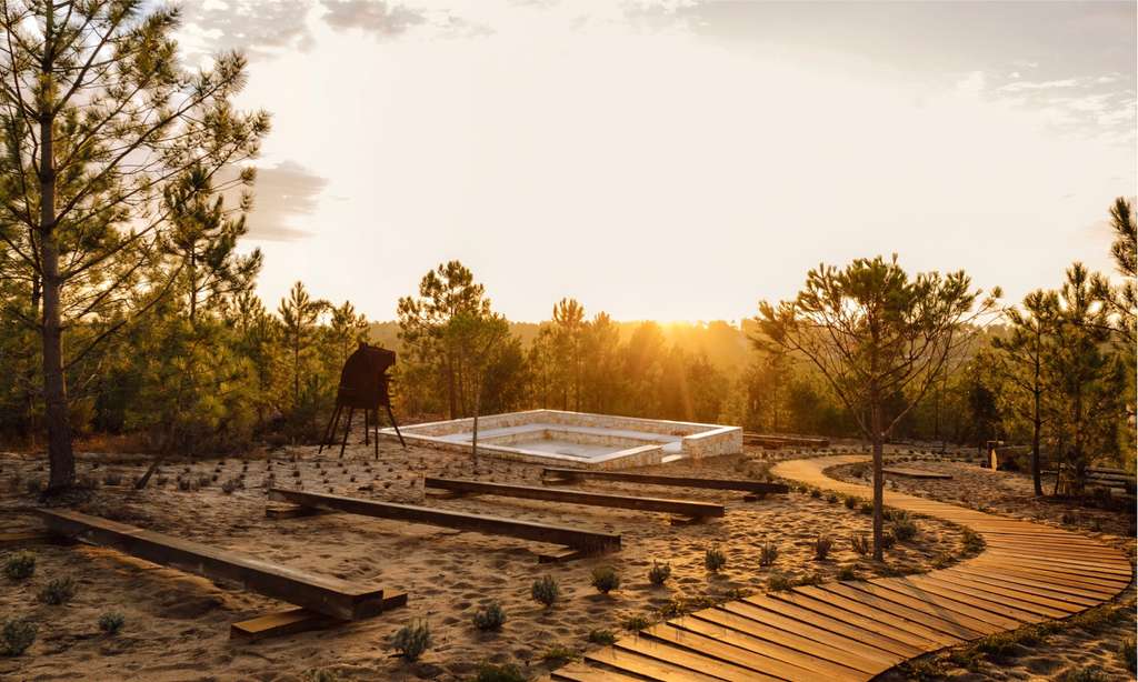 Wooden walkway and stone amphitheatre among pines at sunset